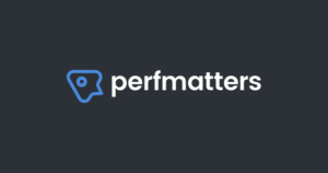 Perfmatters – Lightweight WordPress Performance Plugin